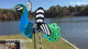 Petite Spinner - Peacock