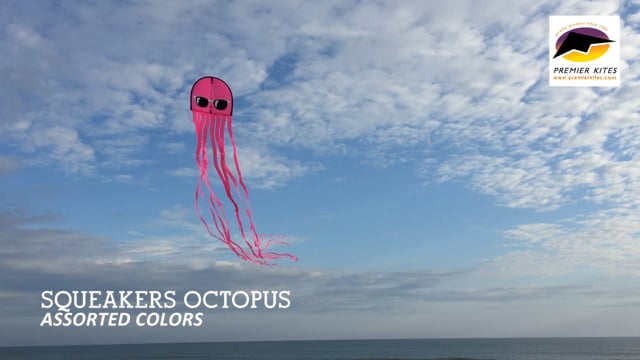 Squeaker Kite - Cool