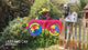 25 in. Car Spinner - Ladybug