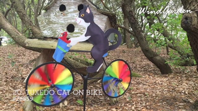 20 in. Bike Spinner - Tuxedo Cat