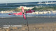 Petite Spinner - Flying Flamingo