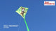 25 in. Diamond Kite - Monkey (Bold Innovations)