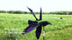 Flying Raven Spinner