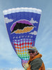 Rieleit Foil 20 Kite - Premier Kites Promotional