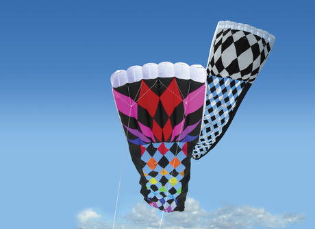 Rieleit Foil 20 Kite - Opt Art