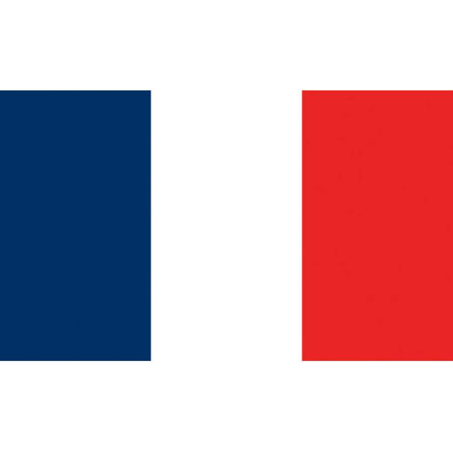 Flag Kite - France
