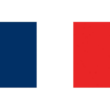 Flag Kite - France