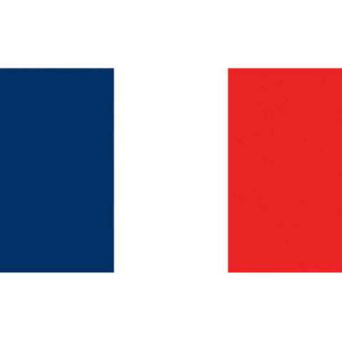 Flag Kite - France