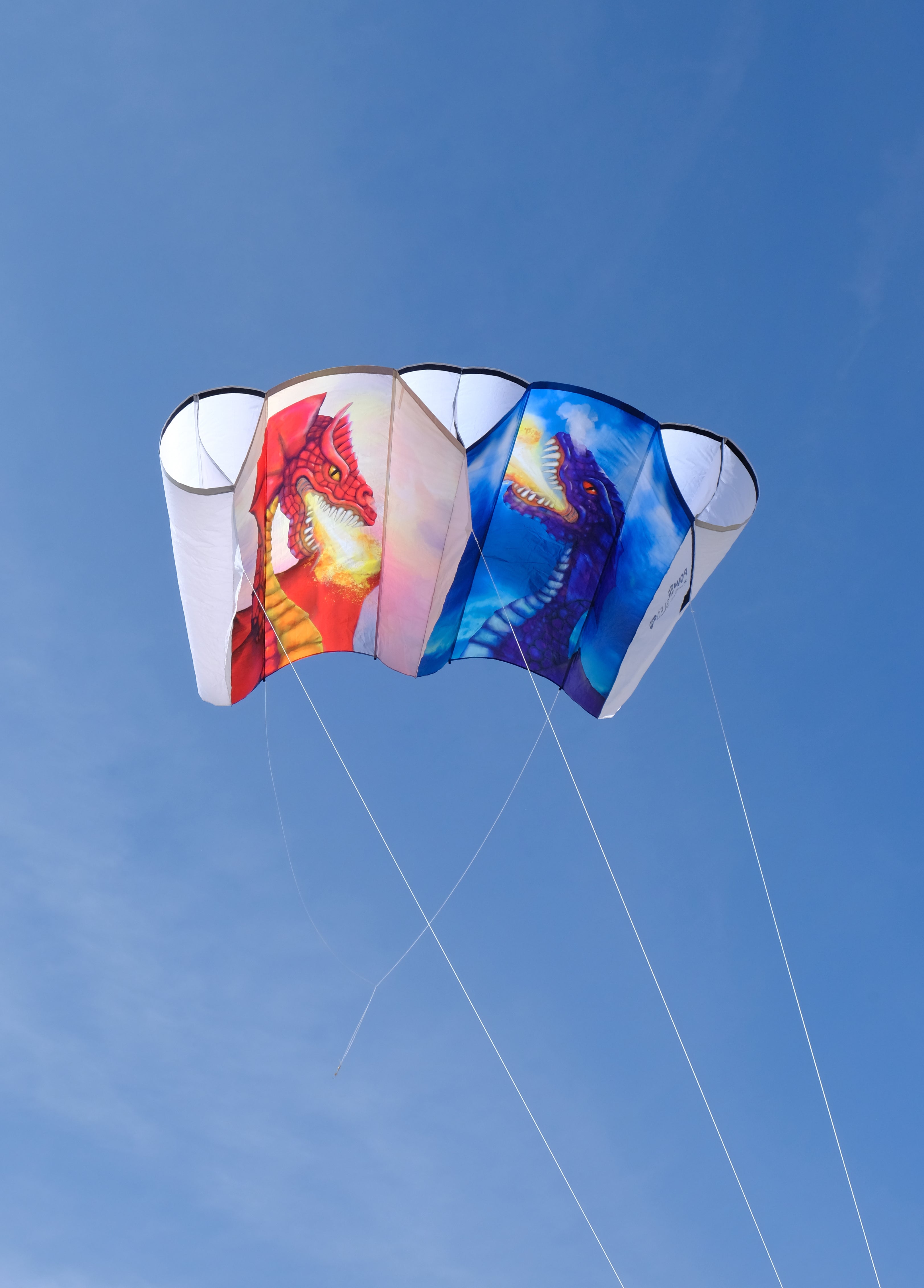 ⭐︎KITE様⭐︎ Jumbo Power Sled 36 Kite - Sun & Moon Dragons – Premier Kites