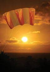 Jumbo Power Sled 36 Kite - Mango