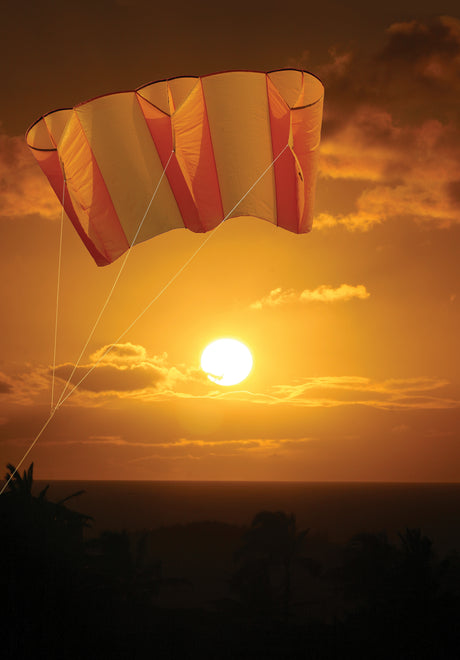 Mega Power Sled 81 Kite - Mango