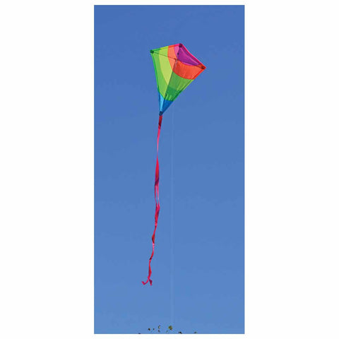 25 in. Diamond Kite - Neon