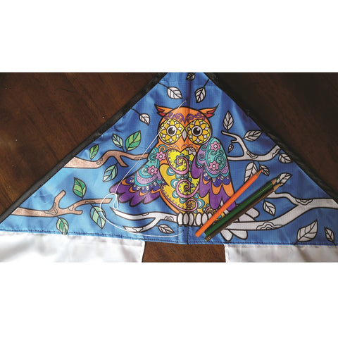 Coloring Kite - Owl