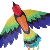 Rainbow Bird Kite
