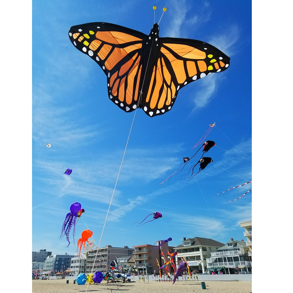 Giant Monarch Butterfly Kite