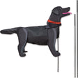 Windicator Recumbent Bike Flag - Black Lab