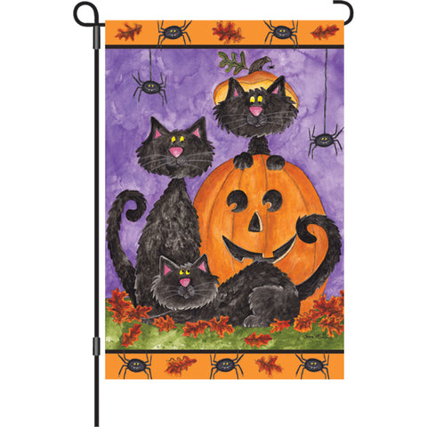 12 in. Flag - Three Black Cats