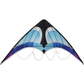Zoomer 2.0 Kite - Cool