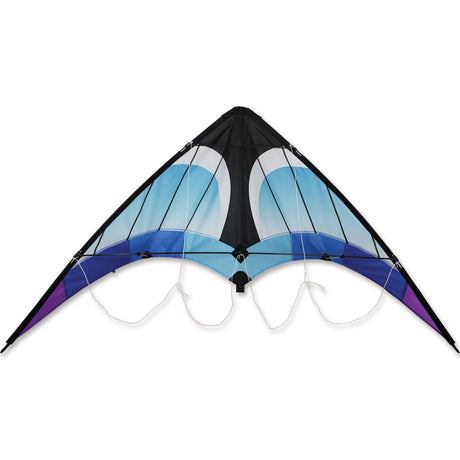 Zoomer 2.0 Kite - Cool
