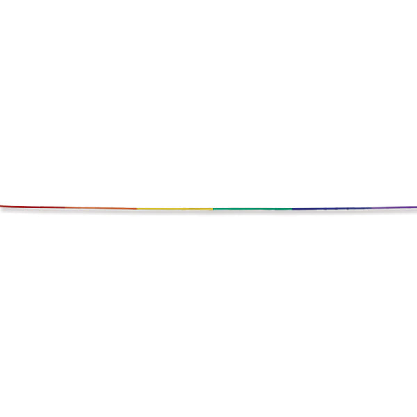 50 ft. Streamer Tail - Rainbow